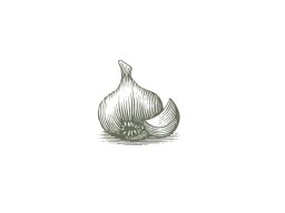 garlic art
